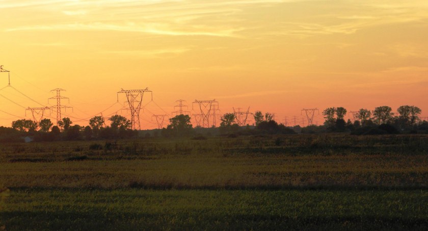 Słupy energetyczne w świetle zachodzącego słońca. Autor: Joanna Miśkiewicz