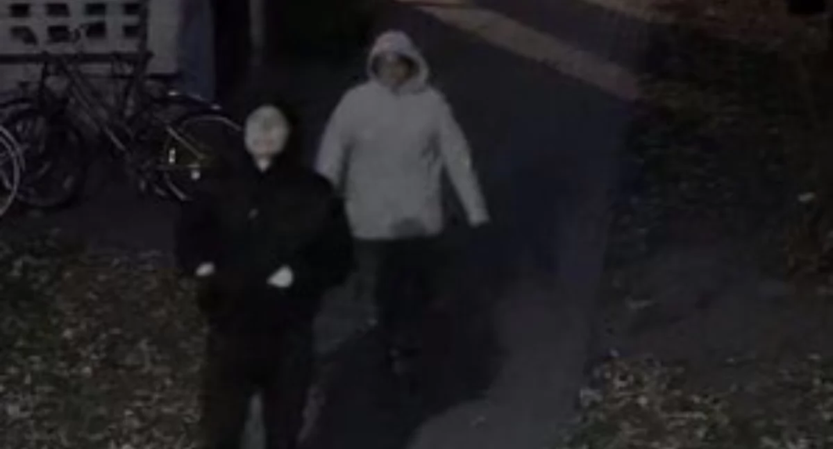 https://ochota.policja.gov.pl/r3/aktualnosci/136592,Poszukujemy-tych-osob-moze-je-rozpoznajesz.html