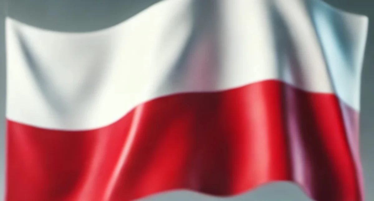 Urząd dzielnicy, Wybory Prezydenckie Musisz Wiedzieć Zanim Pójdziesz Głosować [Przewodnik Wyborców] - zdjęcie, fotografia