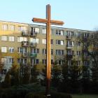 zdjęcie nr 8
