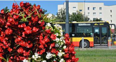 Kwiaty na pętlach autobusowych w Warszawie mają tajemnicze przesłania