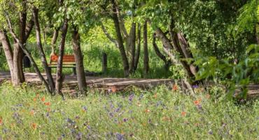 Eko Park w Ursusie jest zwycięzcą konkursu «Warszawa w kwiatach i zieleni» [GALERIA]