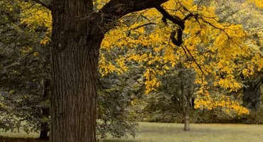 EKOpark w Ursusie - raport 2025 pokazuje mocne strony i wyzwania